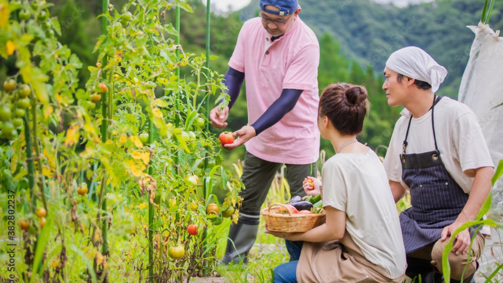 Agricultural experience