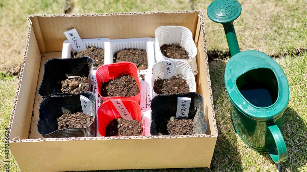 Group Planting